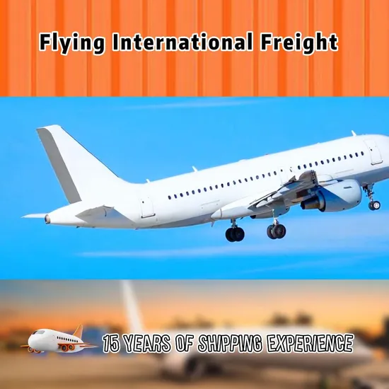 Servizio di spedizione Festa hawaiana Luau Lei Ghirlanda tropicale Fornitura per feste Spedizione Yiwu Agente Yiwu (B3041)